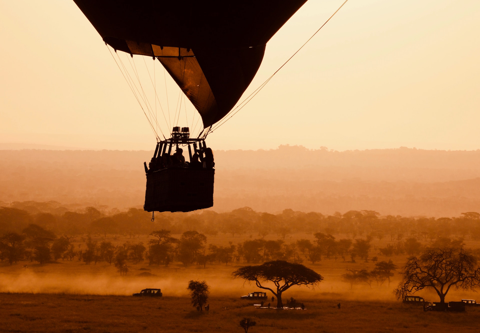 Tanzania luxury safaris - Lasi Tours