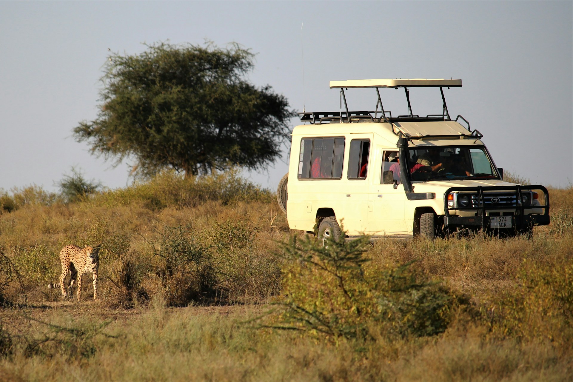 Day trip to Tarangire National park