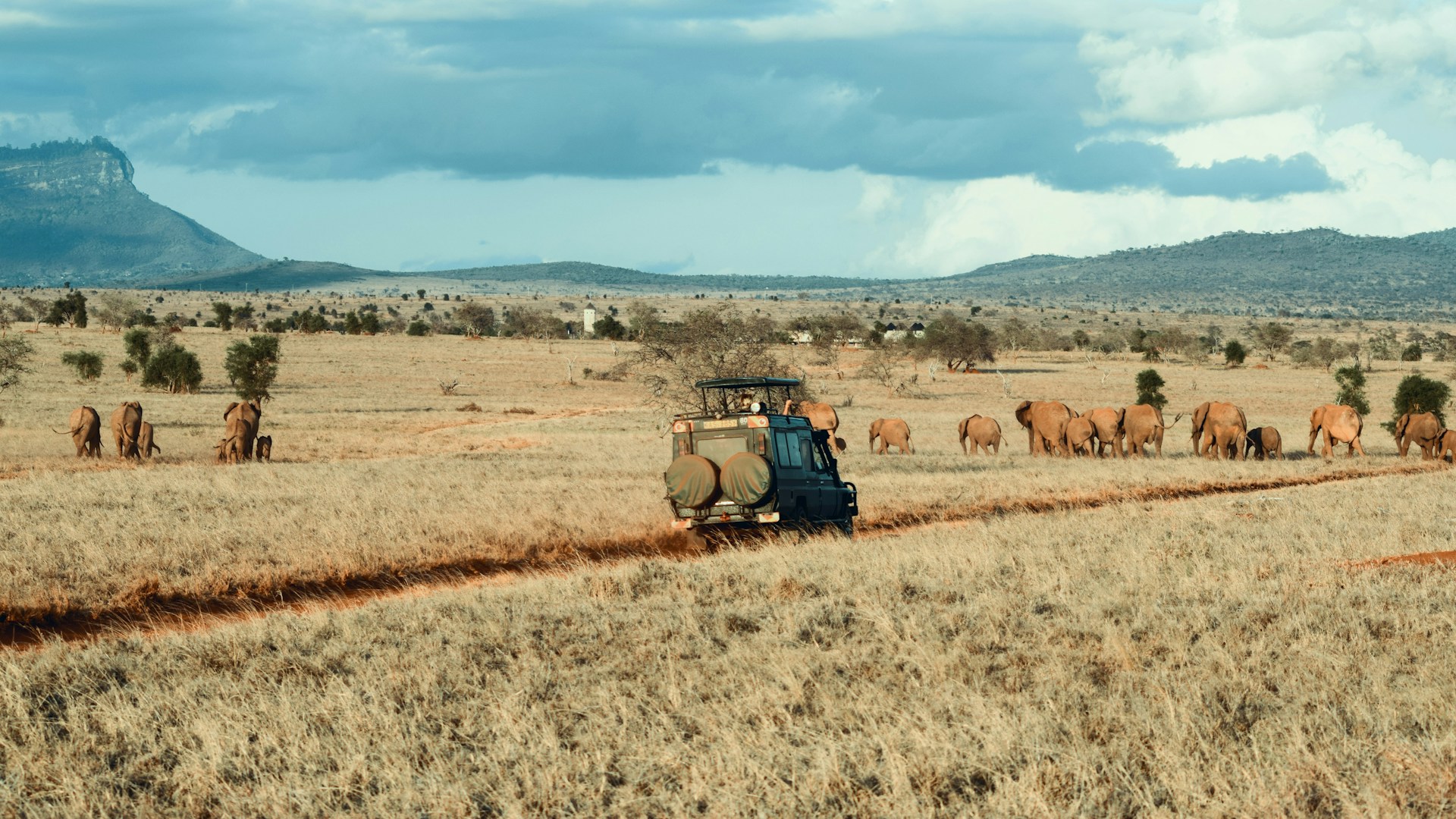 Game Drive - Lasi Tours