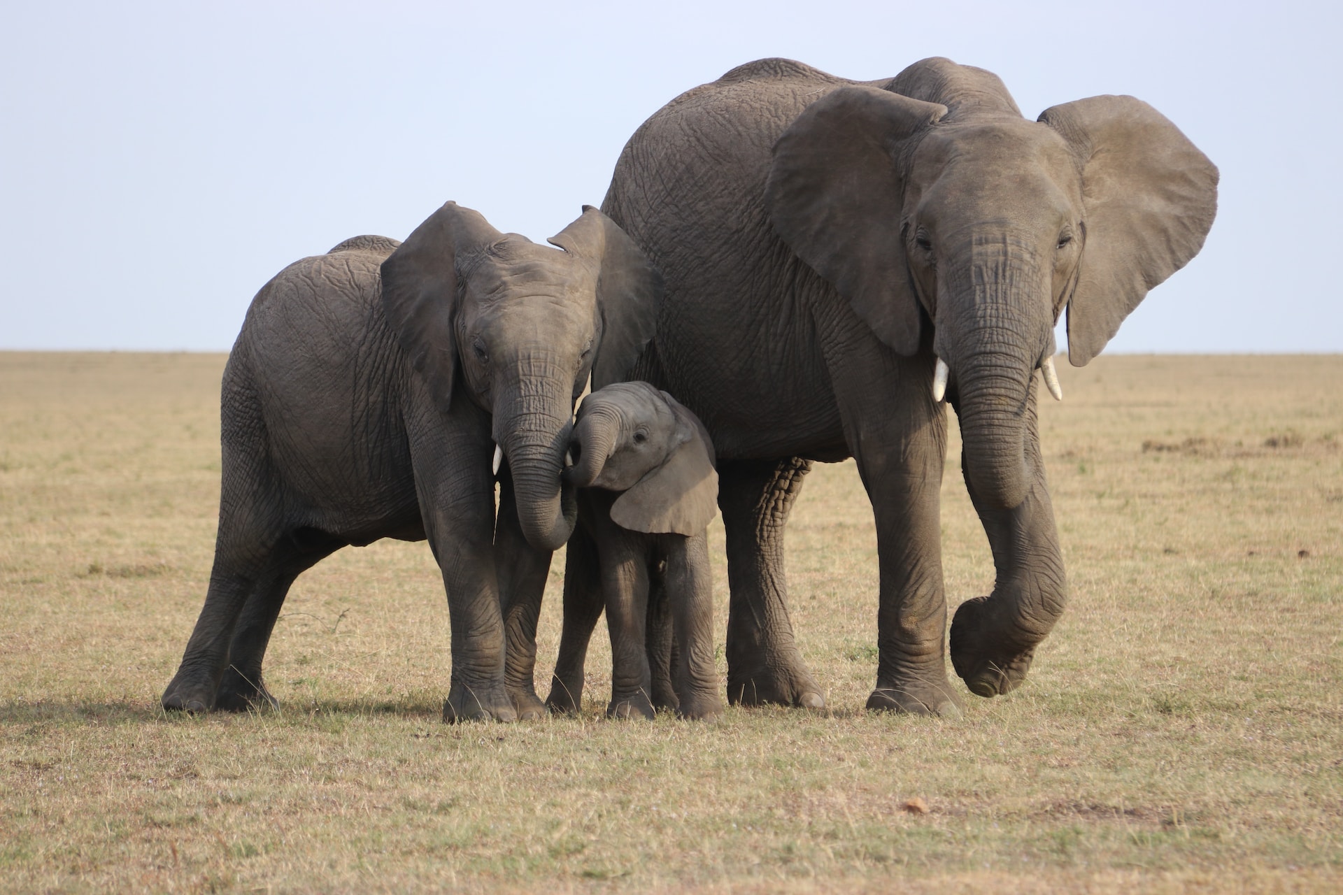 Ngorongoro National Park