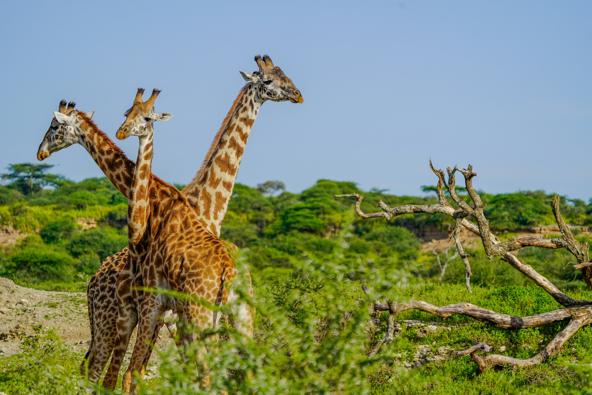 Udzungwa National Park