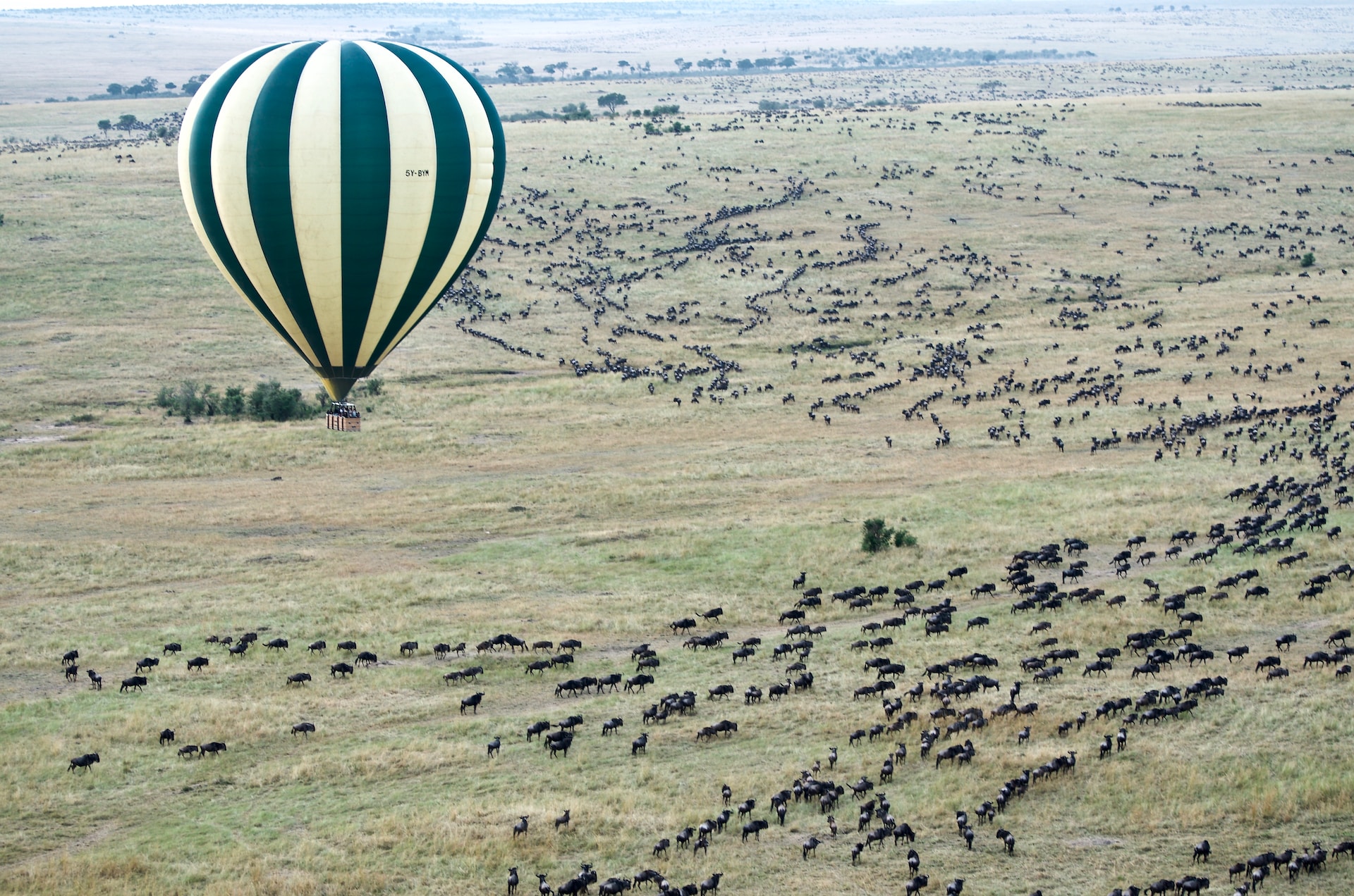 5 Days 4 Nights Serengeti South Big Time