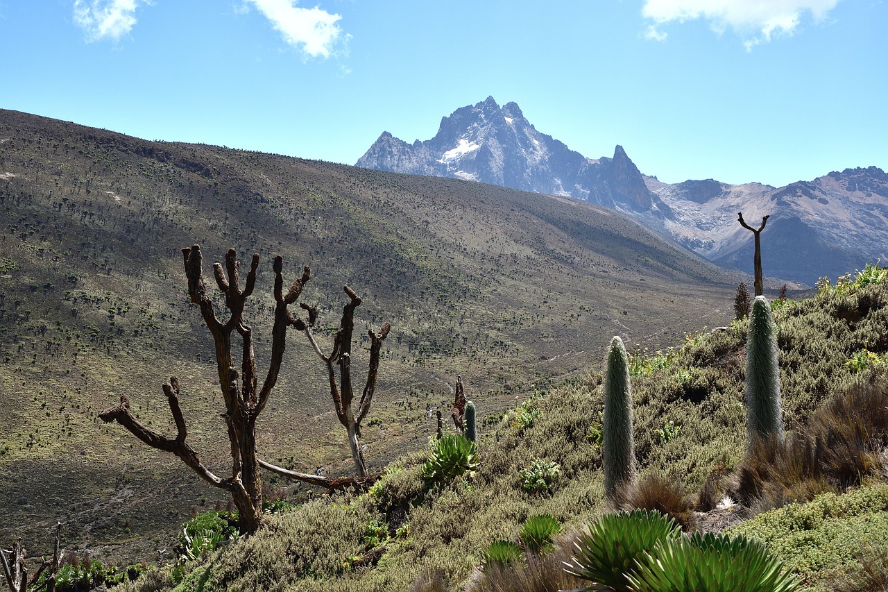 7 Days 6 Nights - Naro Moru Trekking