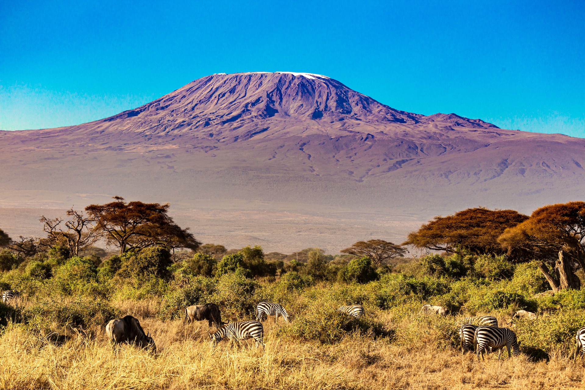 5 DAY 4 NIGHTS MARANGU AND WILDERNESS SAFARI