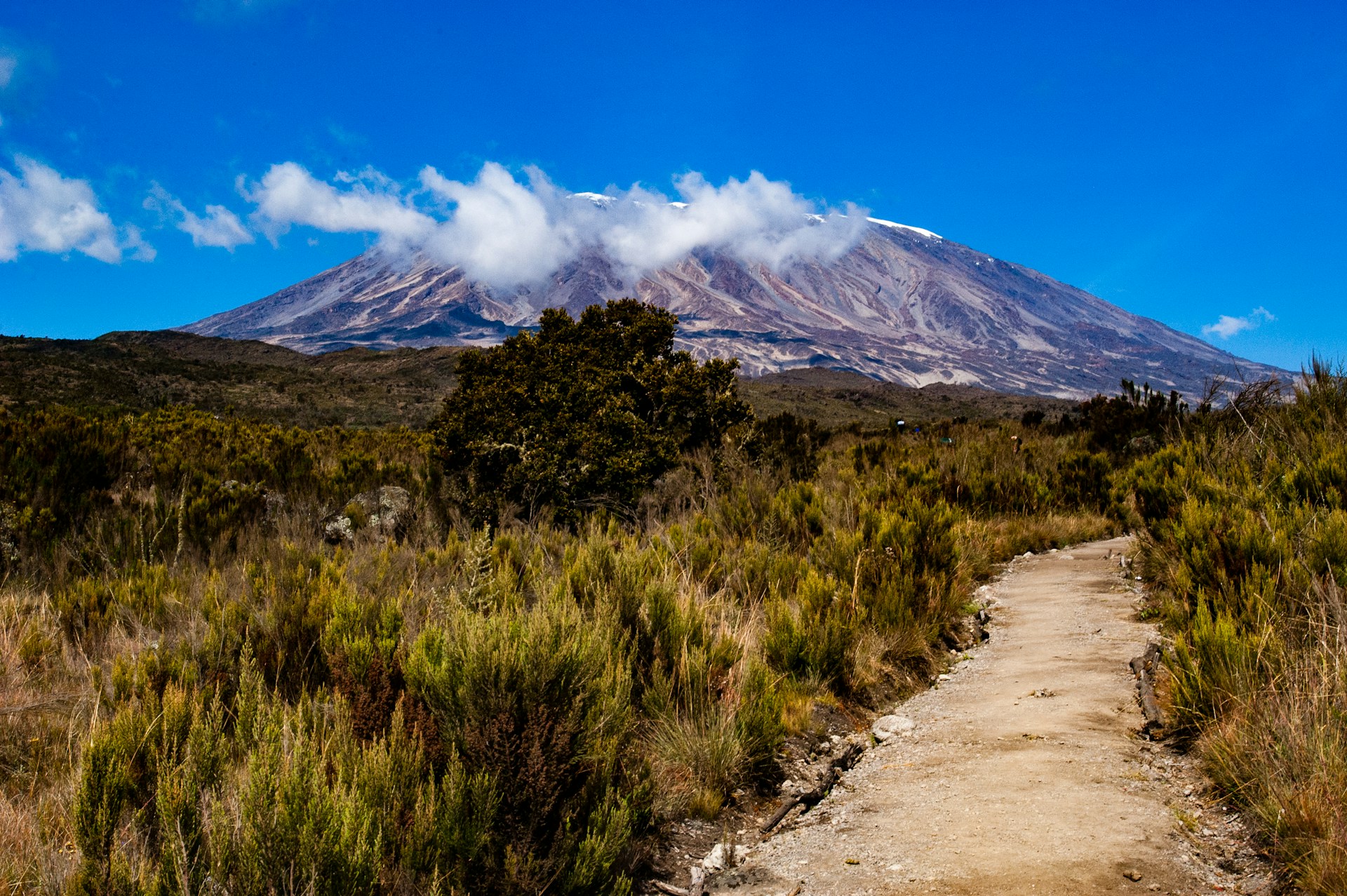 5 days Marangu route and 5 days Wilderness Safari - Lasi Tours