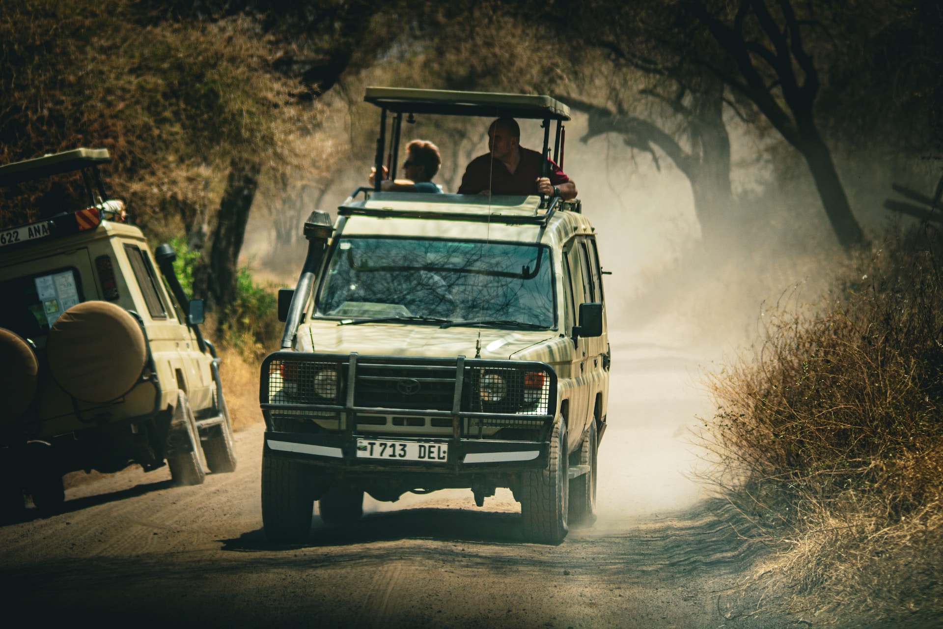 When to travel for safaris - Lasi Tours