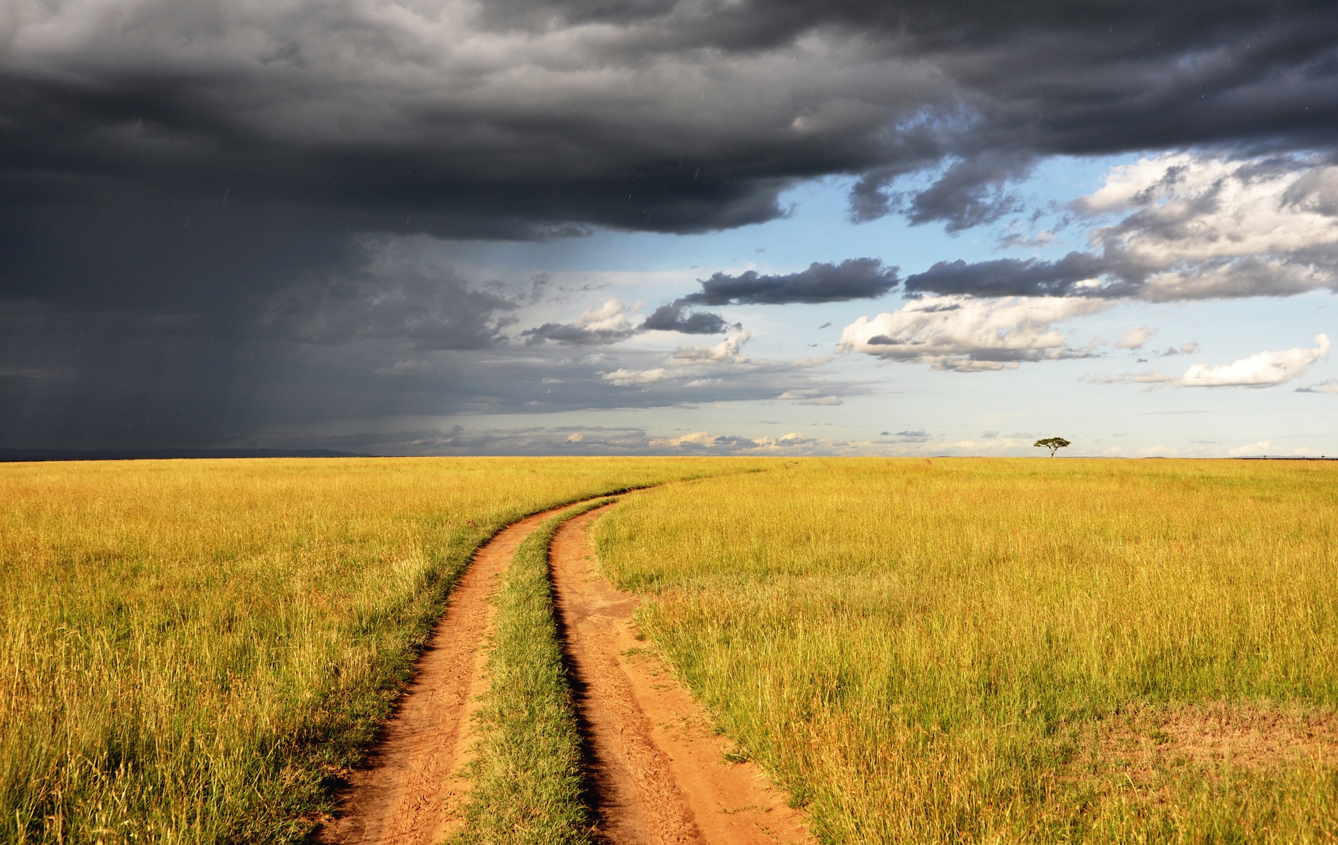 5 Days 4 Nights - Ndutu Plain,Serengeti park & Ngorongoro crater