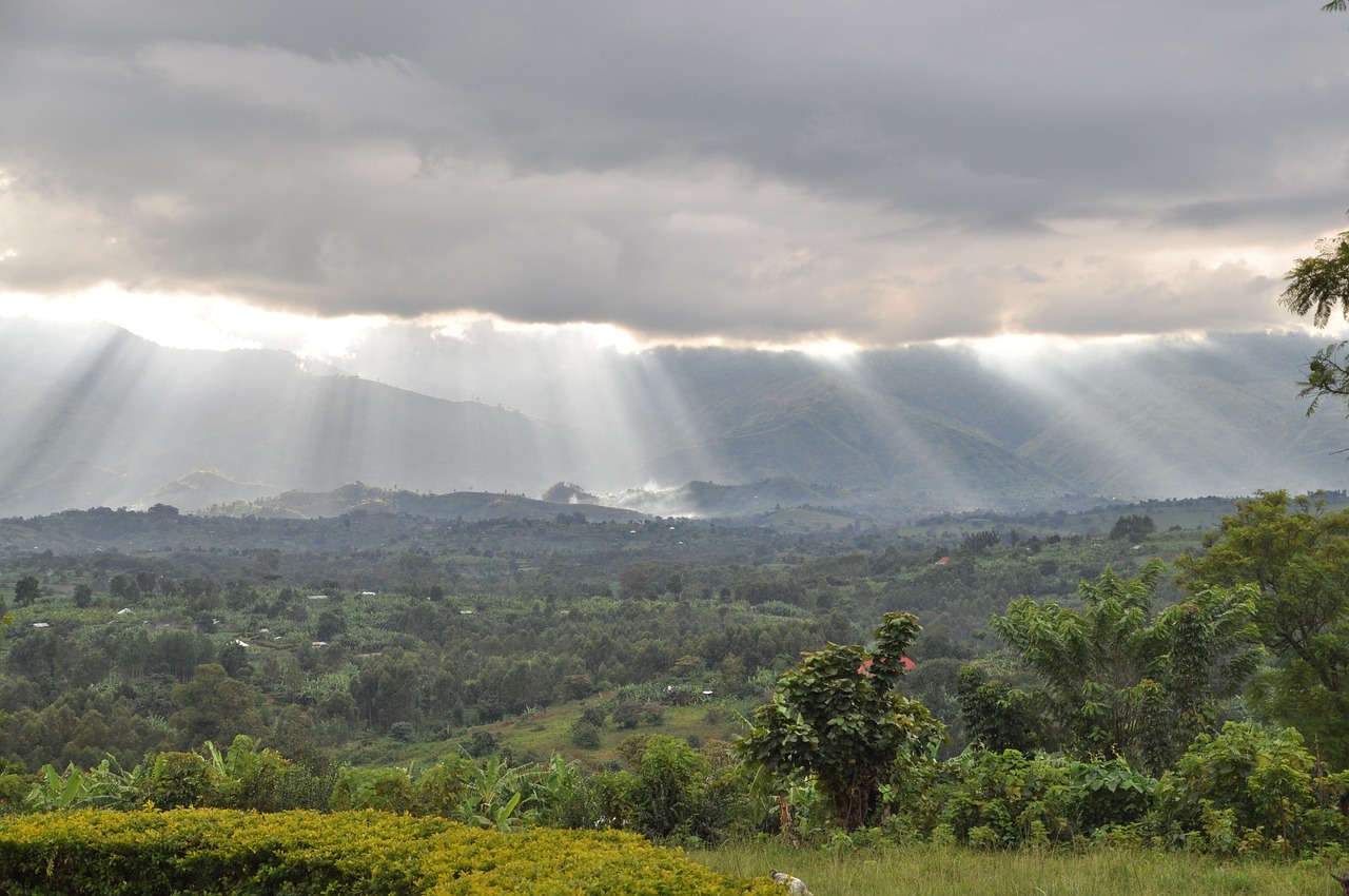 9 days 8 nights Mt. Rwenzori Trek