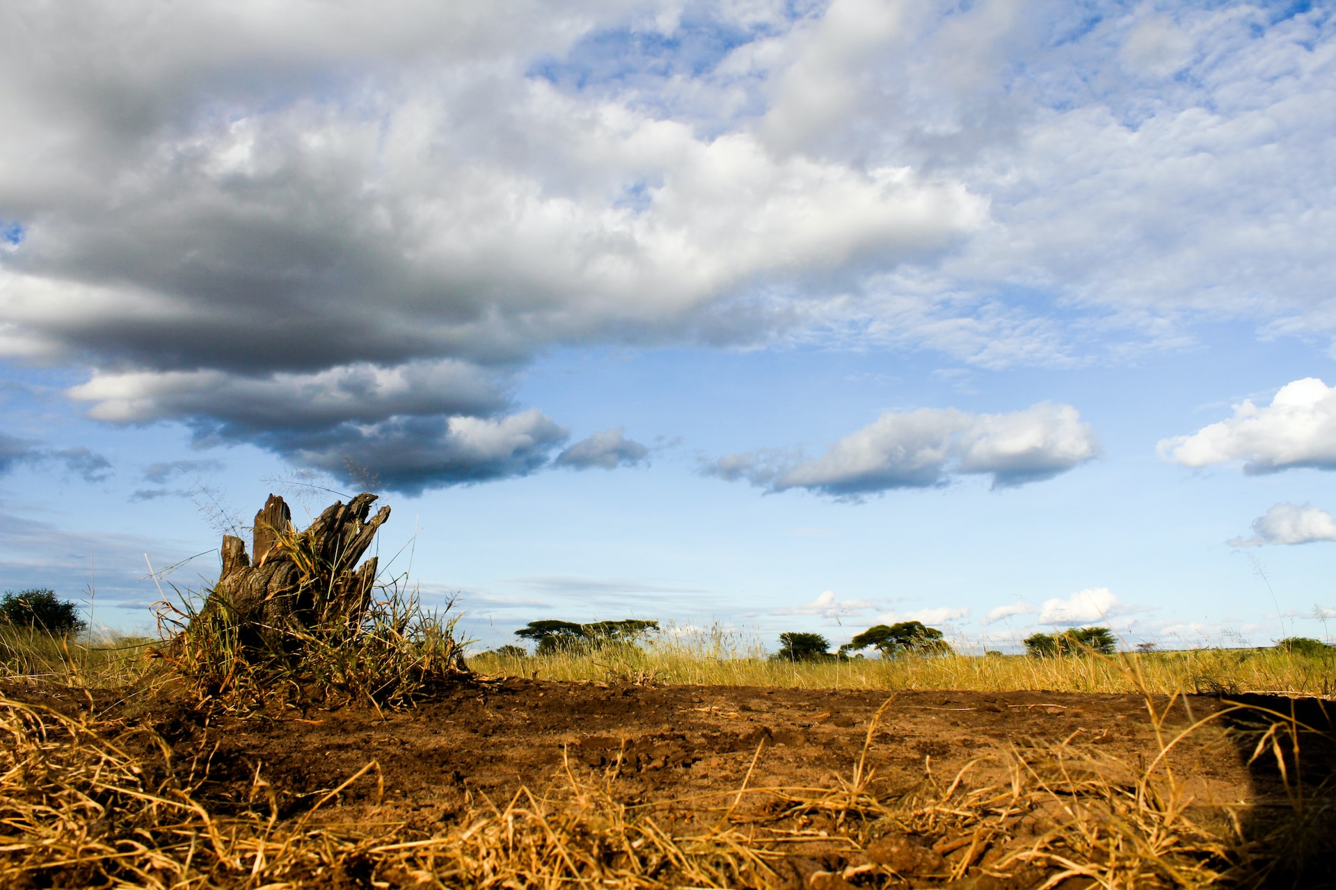 2 Days 1 Night - Tarangire National park & Ngorongoro crater