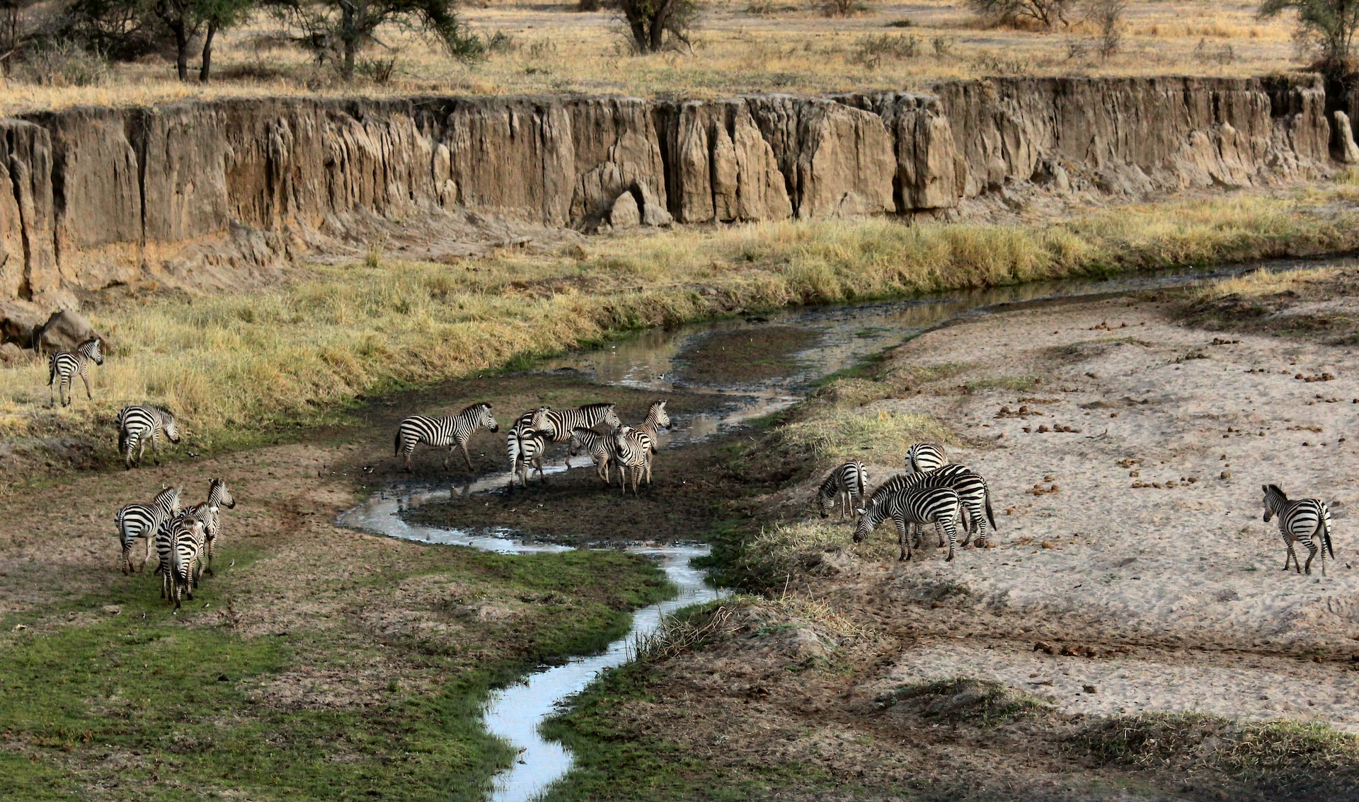 7 Days 6 Nights Best of Mara river crossing