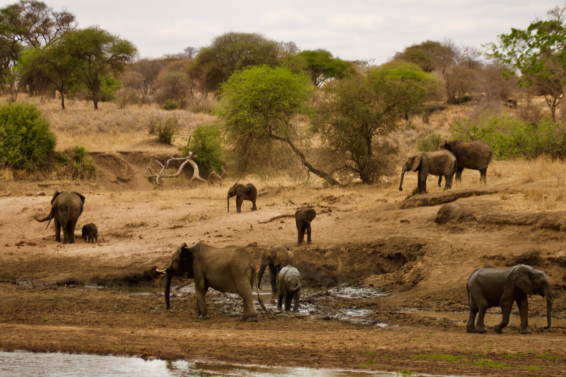 4 Days 3 Nights - Tarangire National park, Lake Eyasi & Ngorongoro crater